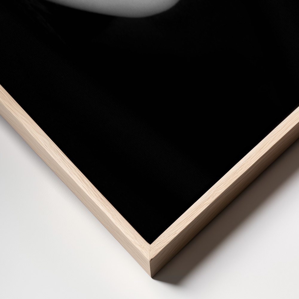 Canvas print - Hiding in LP frame close up