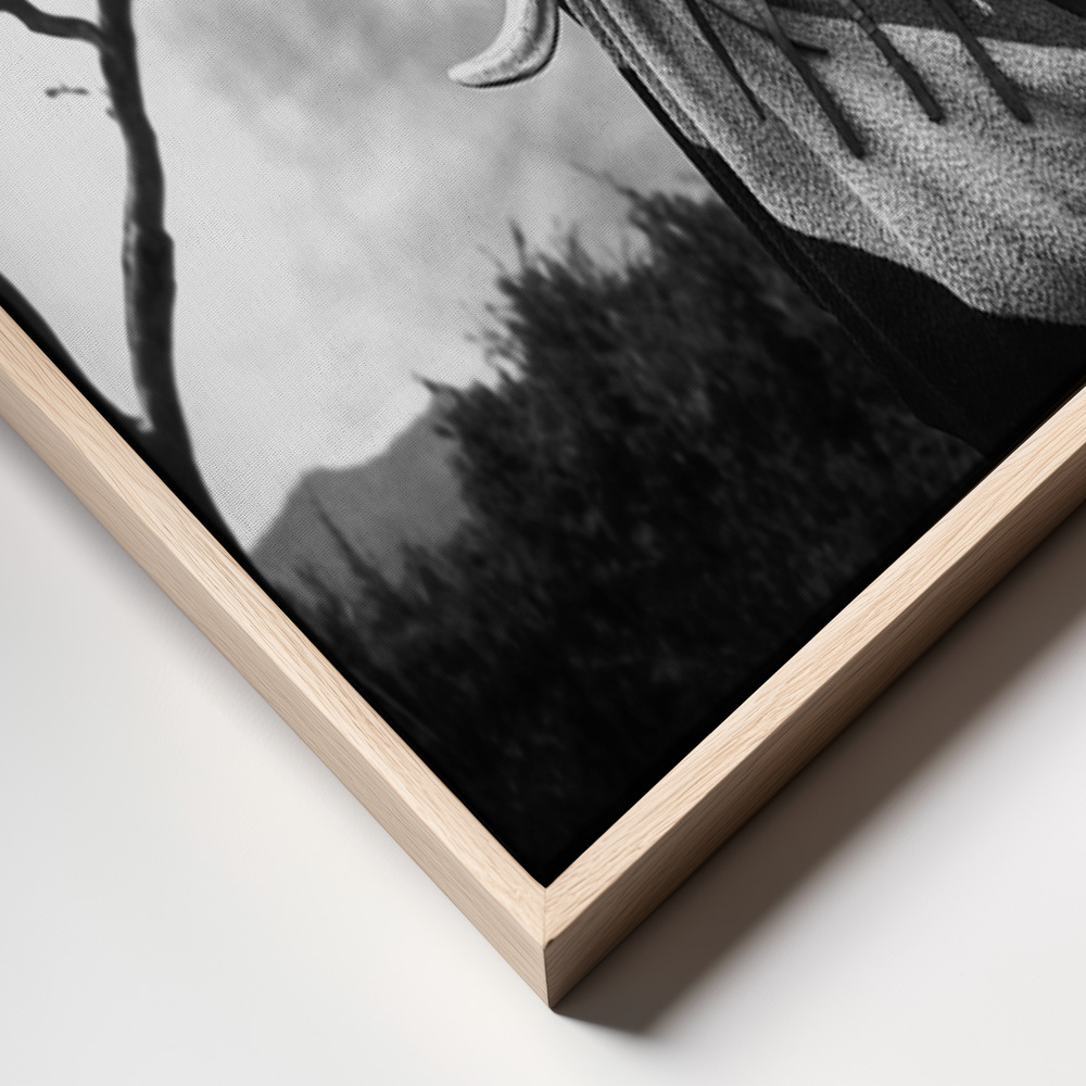 Canvas print - Omo Woman Mursi frame close up