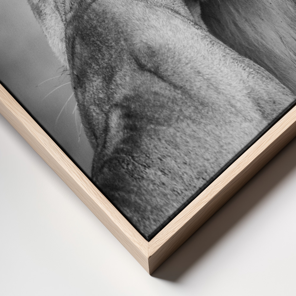 Canvas print - African Love! frame close up