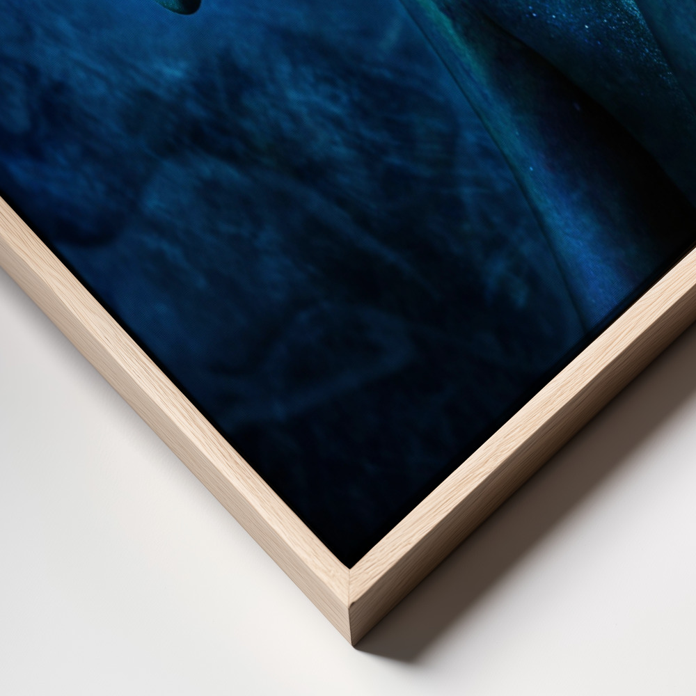 Canvas print - Symbiosis III frame close up