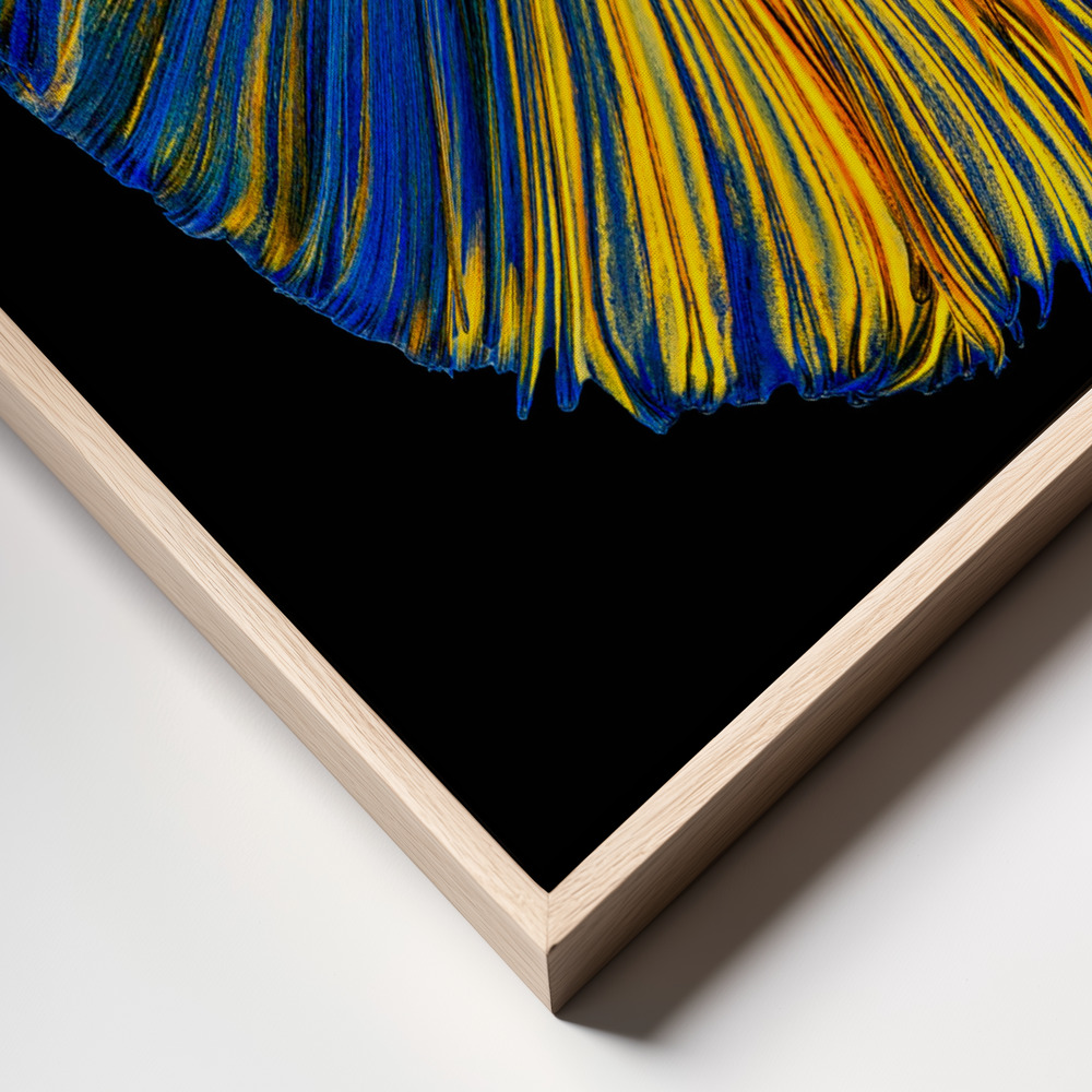 Stampe su tela - Yellow & Blue frame close up