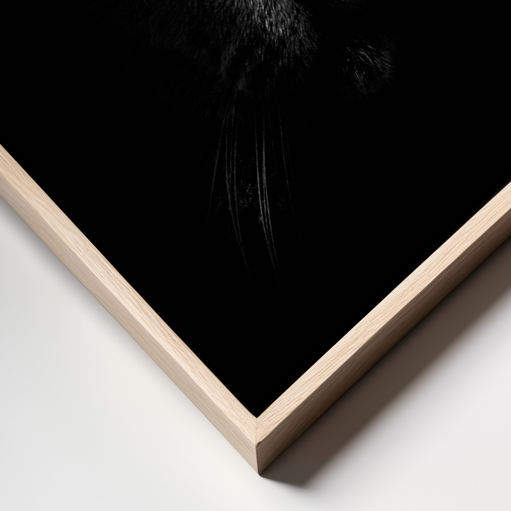 Canvas print - Midnight Gaze frame close up