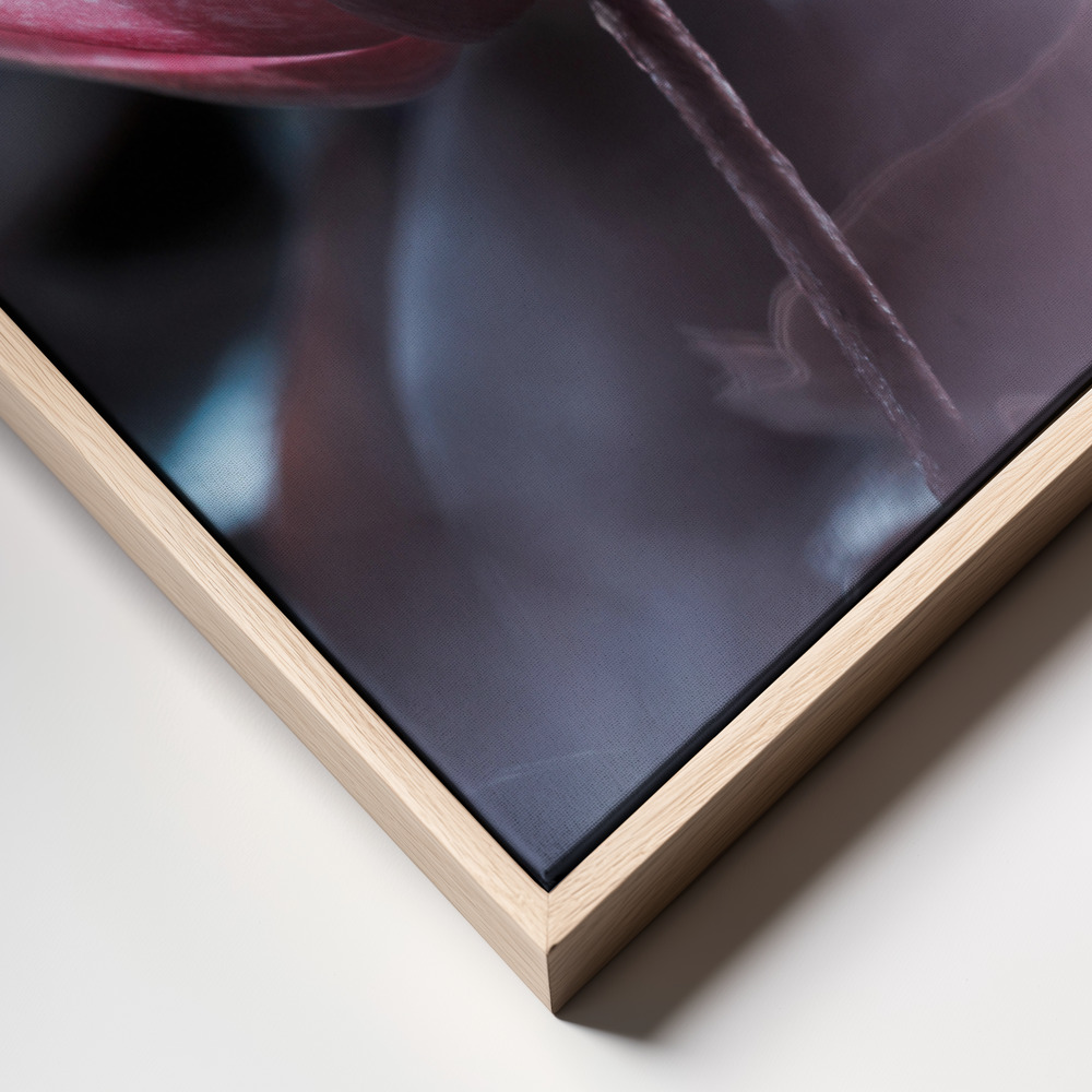 Canvas print - Silence frame close up