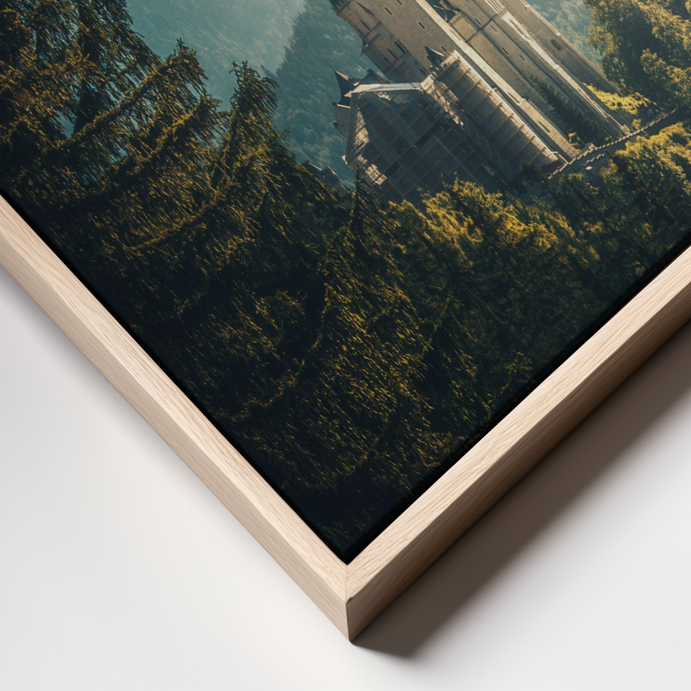 Canvas print - Neuschwanstein Castle frame close up