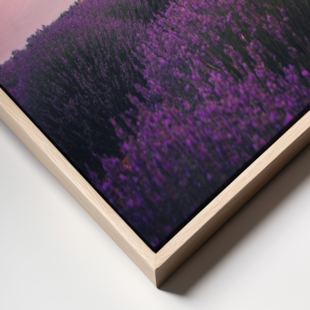 Canvas print - Lavender Fields, Isparta frame close up