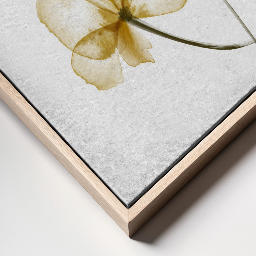 Obraz na płótnie - Pressed Flowers ramka z bliska - naturalna ramka