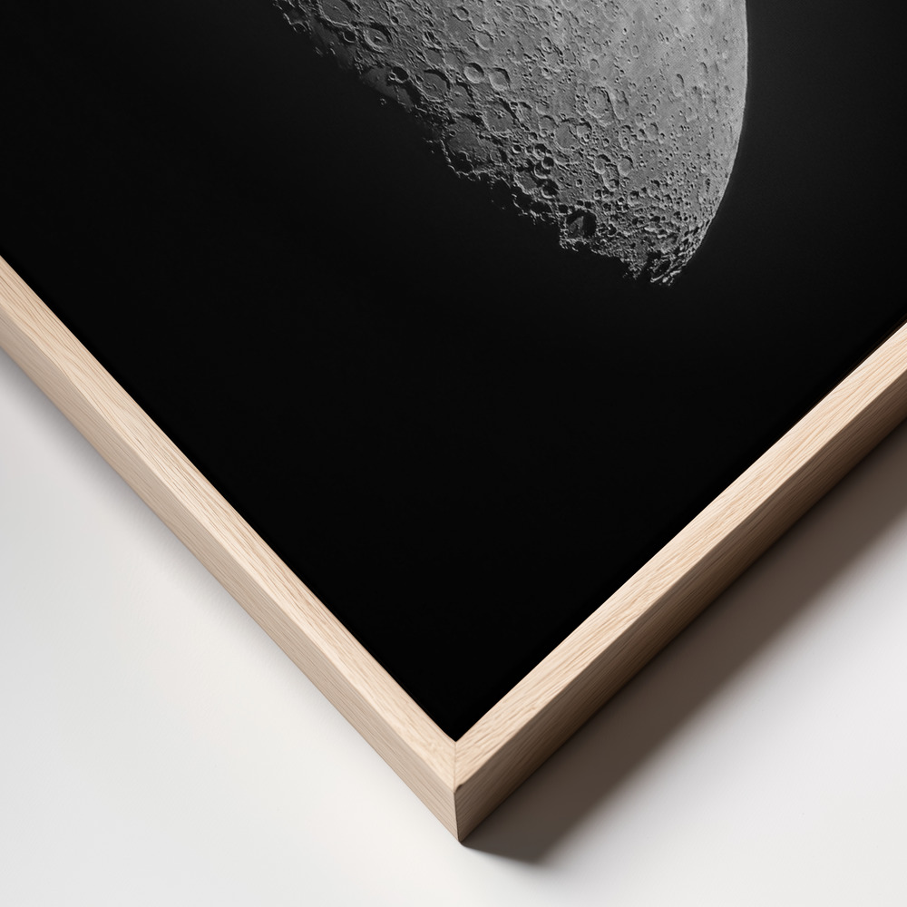 Canvas print - Luna frame close up