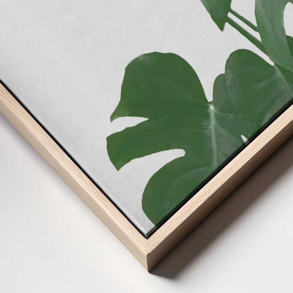 Canvas print - Monstera Aqua 04 frame close up