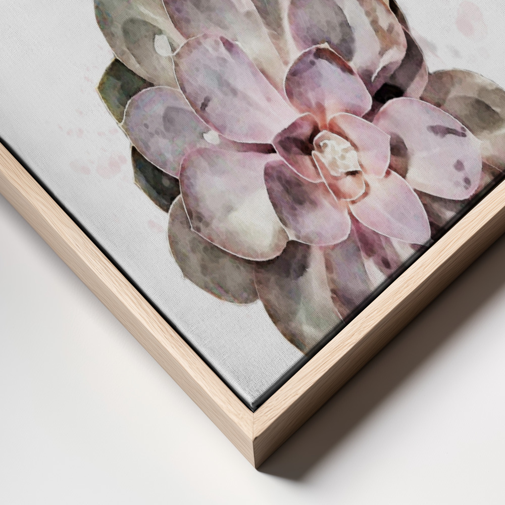 Canvas print - Succulent 02 frame close up
