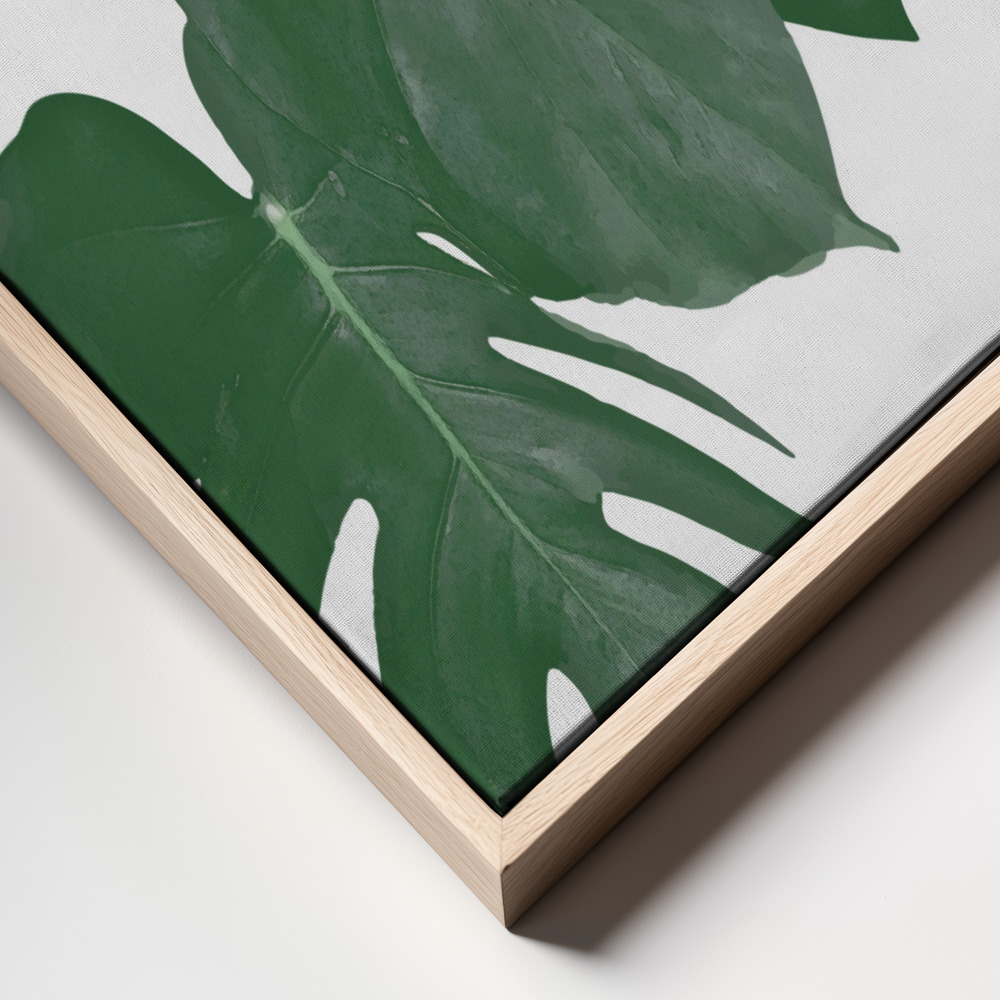 Canvas print - Monstera Aqua 01 frame close up