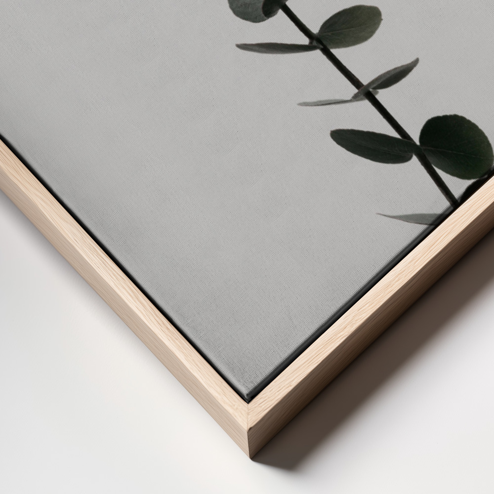 Canvas print - Eucalyptus Natural 02 frame close up