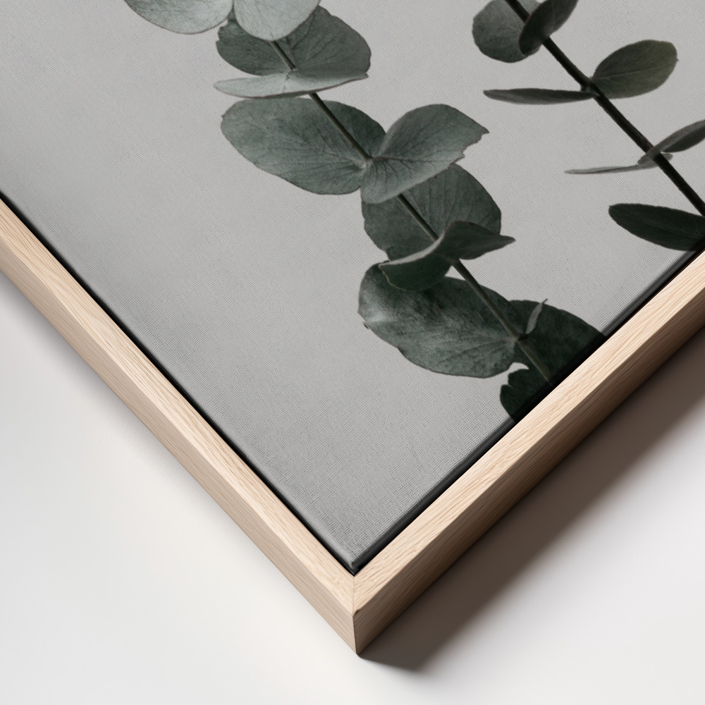 Canvas print - Eucalyptus Natural 03 frame close up