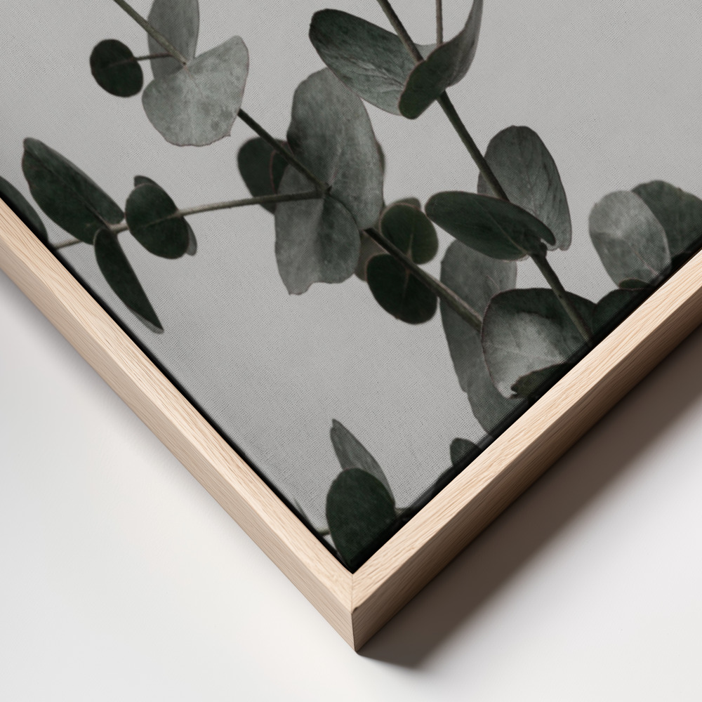 Canvas print - Eucalyptus Natural 04 frame close up