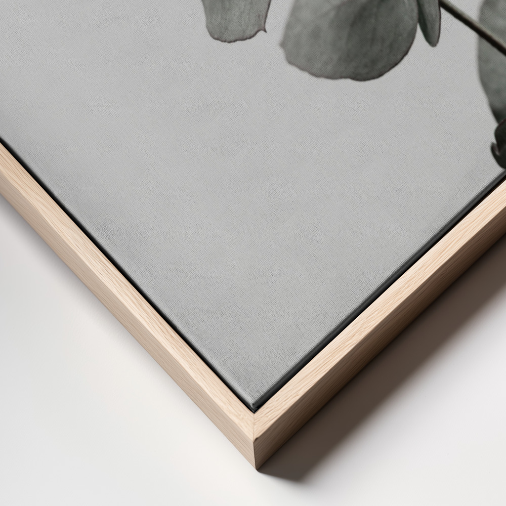 Canvas print - Eucalyptus Natural 06 frame close up