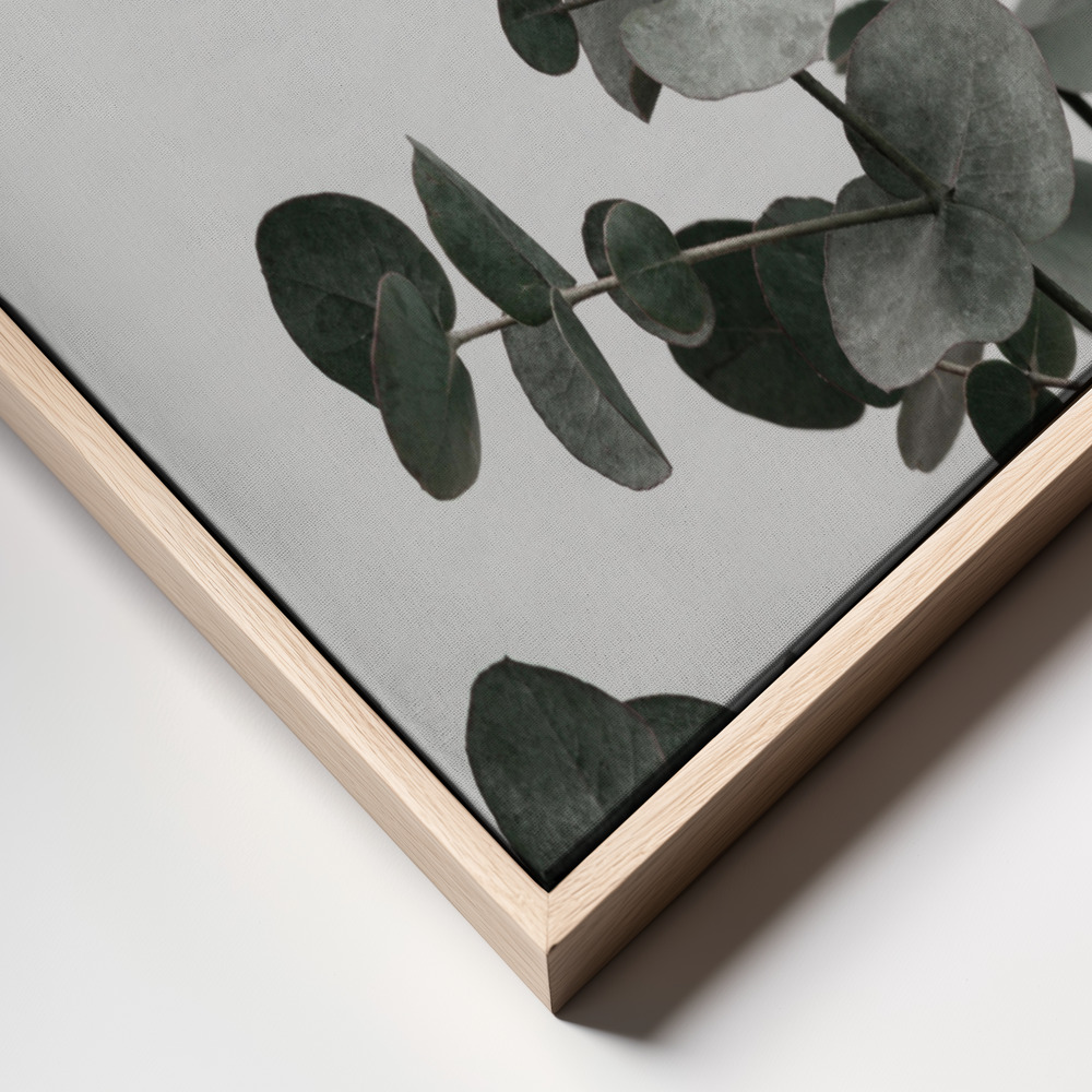 Toile - Eucalyptus Natural 07 cadre en gros plan - cadre naturel