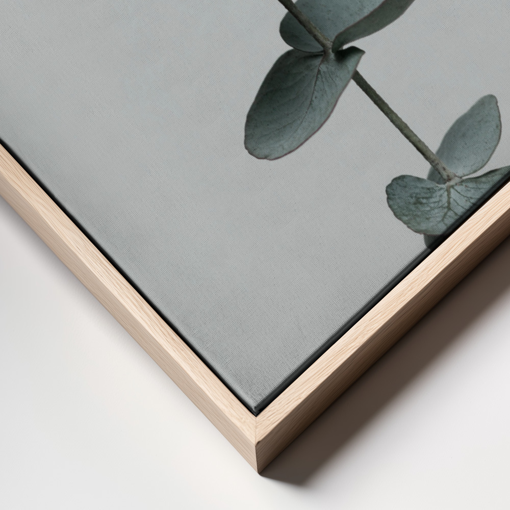 Stampe su tela - Eucalyptus Natural 09 frame close up