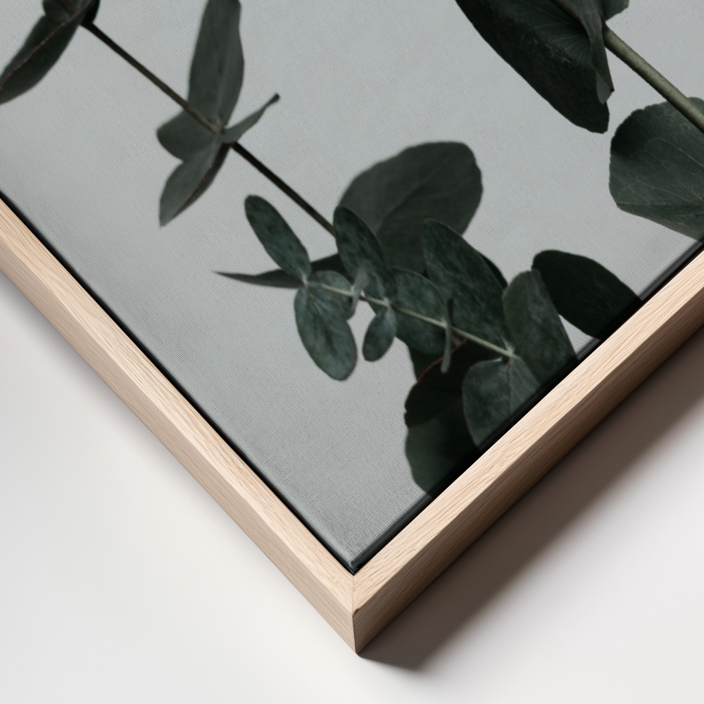 Canvas print - Eucalyptus Natural 11 frame close up