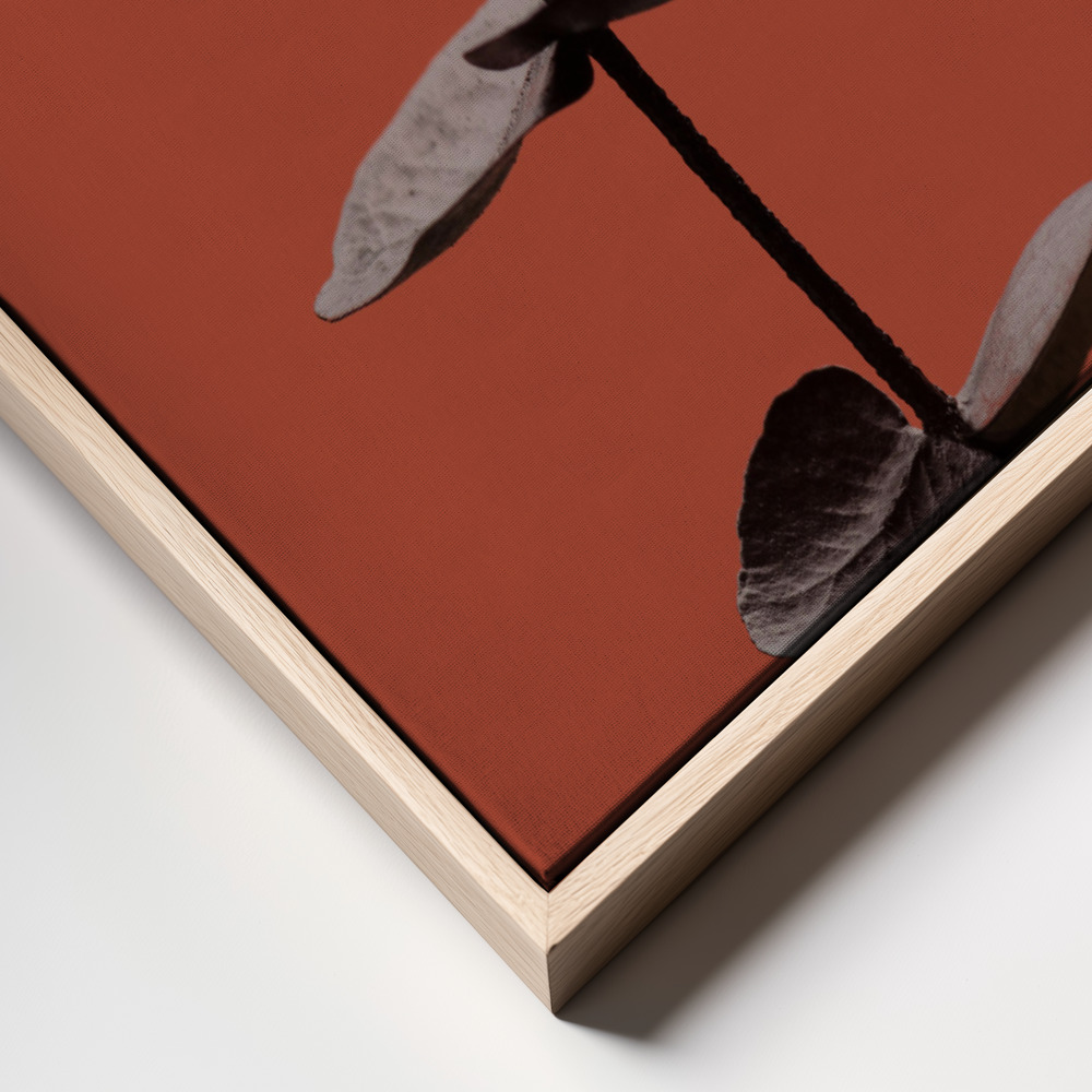 Canvas print - Eucalyptus Rust 03 frame close up