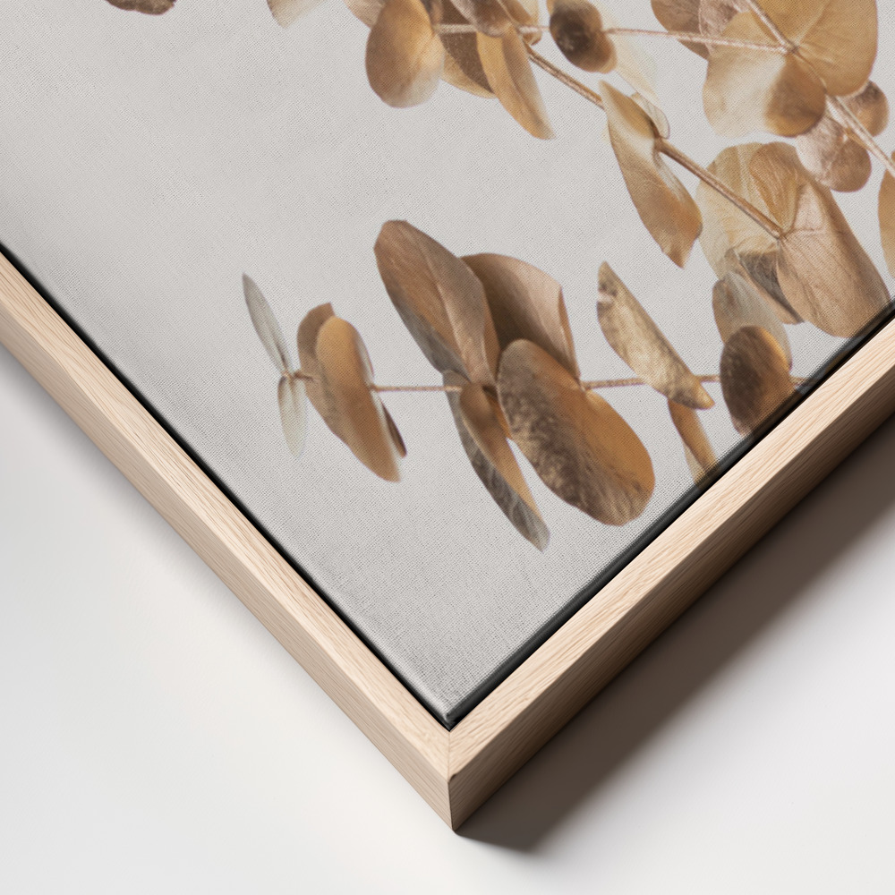 Obraz na płótnie - Eucalyptus Gold No 04 ramka z bliska - naturalna ramka