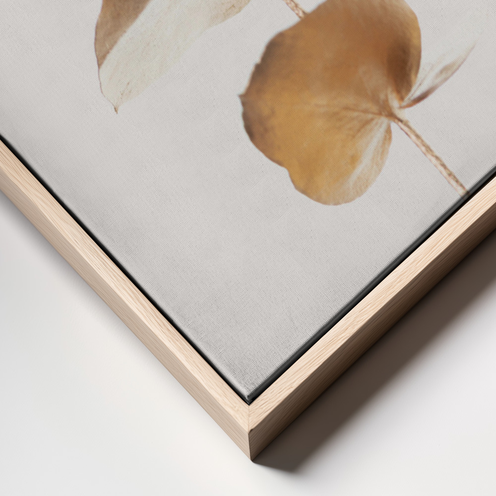 Canvas print - Eucalyptus Gold No 06 frame close up