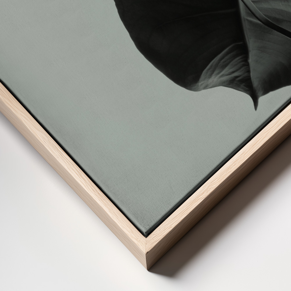 Canvas print - Monstera Teal 01 frame close up