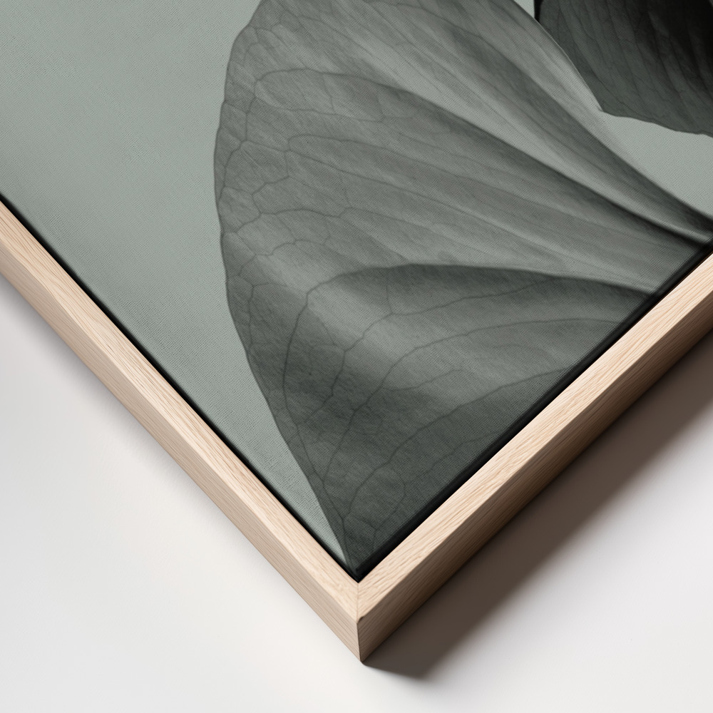 Canvas print - Monstera Teal 07 frame close up