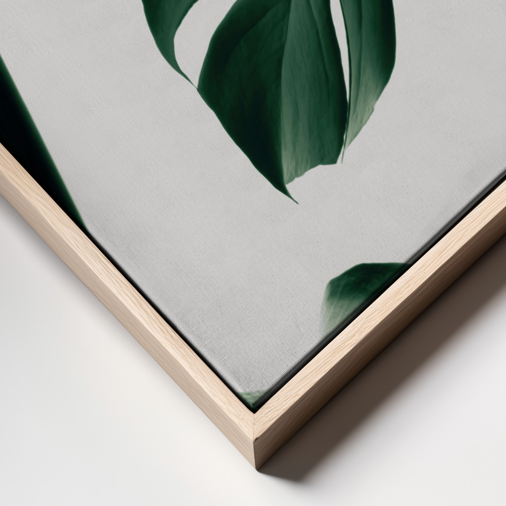 Obraz na płótnie - Monstera Natural 13 ramka z bliska - naturalna ramka