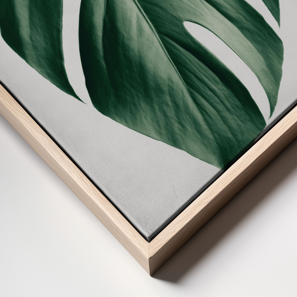Canvas print - Monstera Natural 23 frame close up