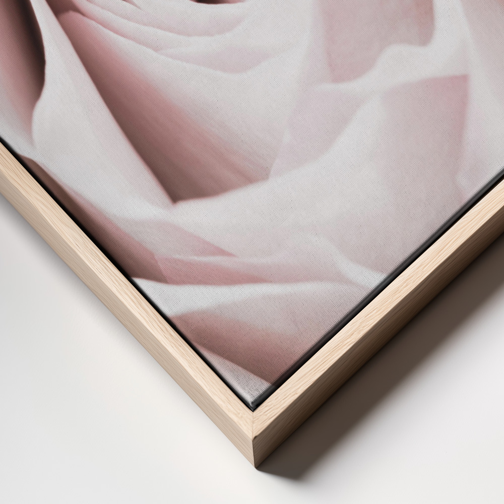 Canvas print - Pink Rose No 06 frame close up