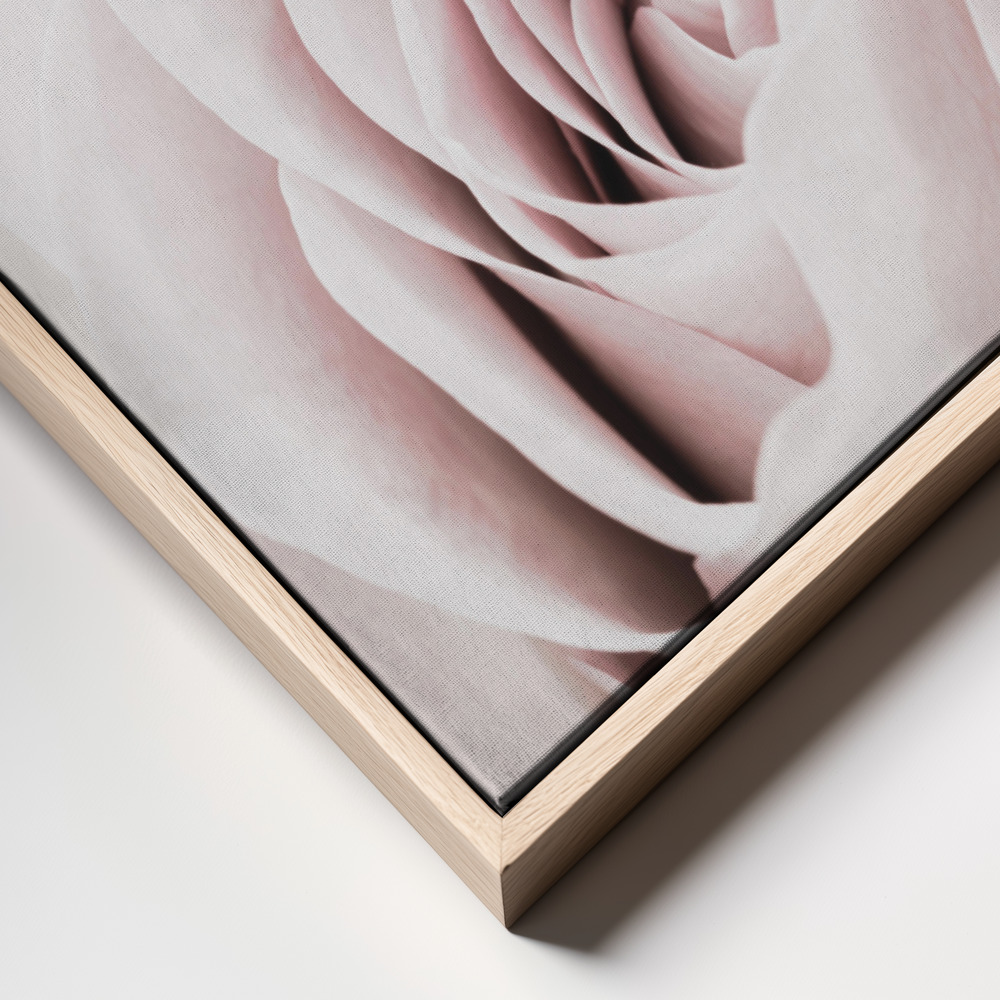 Obraz na płótnie - Pink Rose No 05 ramka z bliska - naturalna ramka