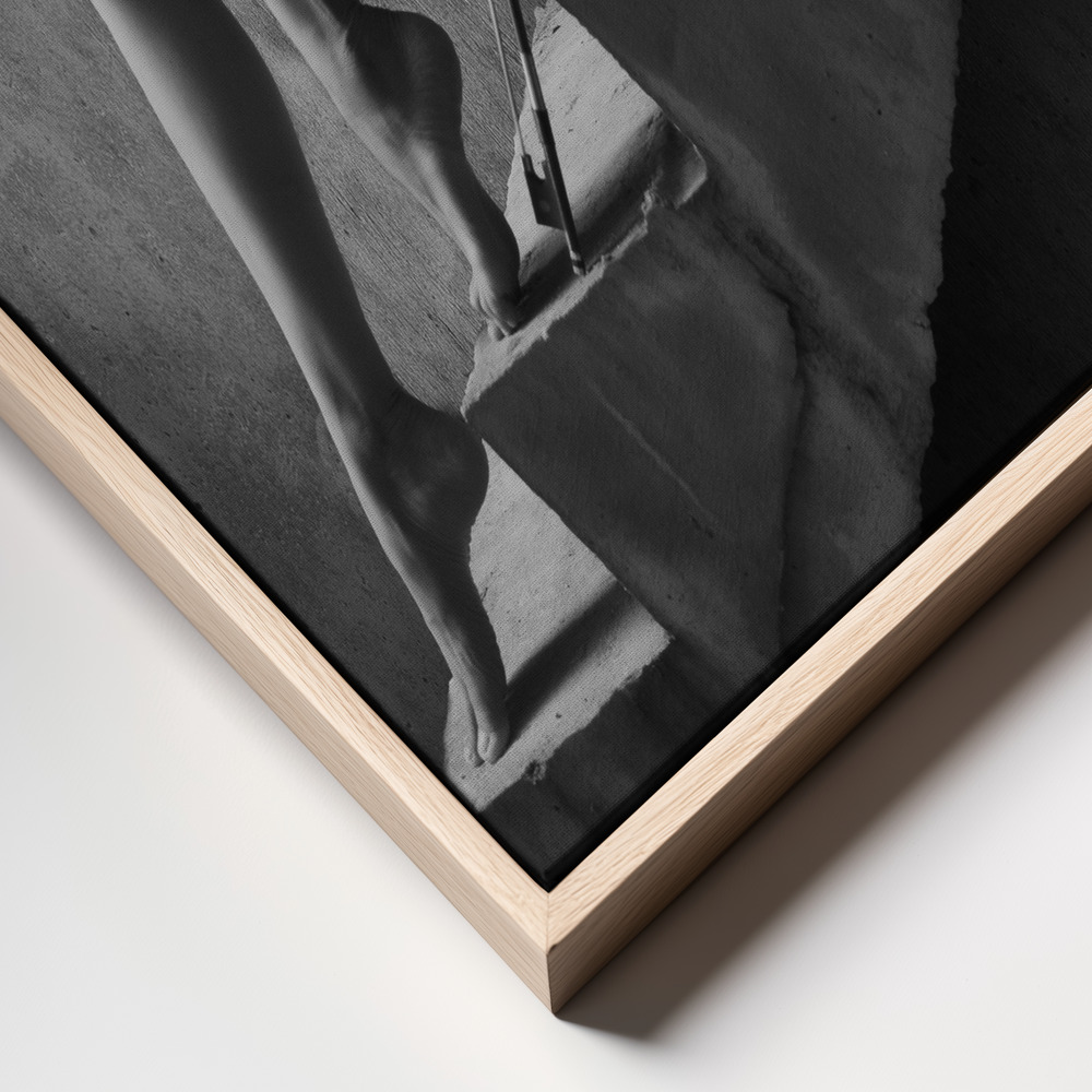 Canvas print - The Violist frame close up
