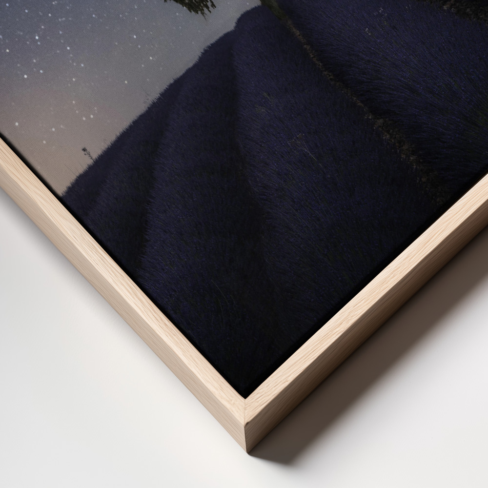 Canvas print - Tree and Milky Way frame close up