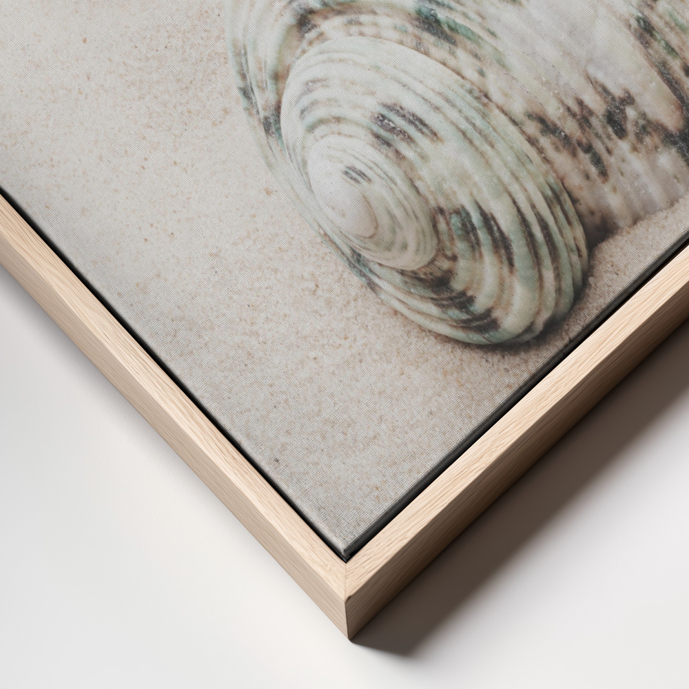 Canvas schilderi - Shells frame close up - natuurlijk frame
