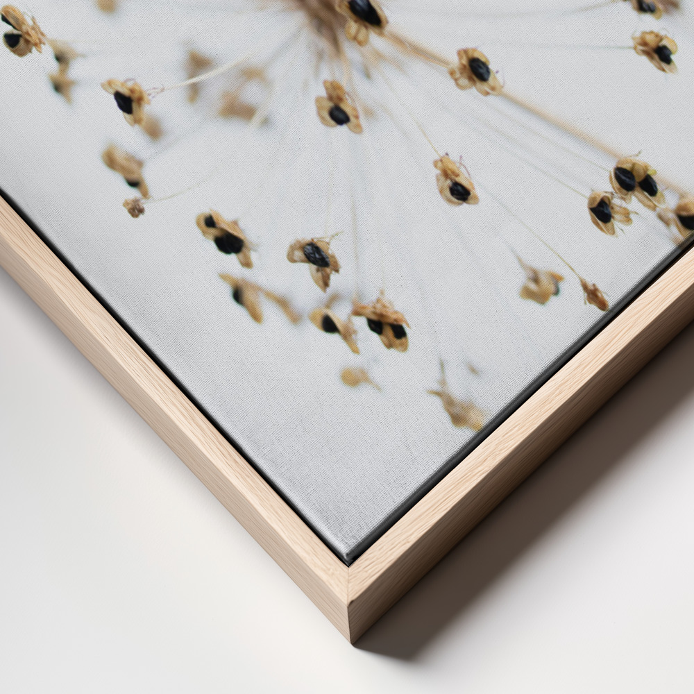 Canvas print - Dried Flower 2 frame close up