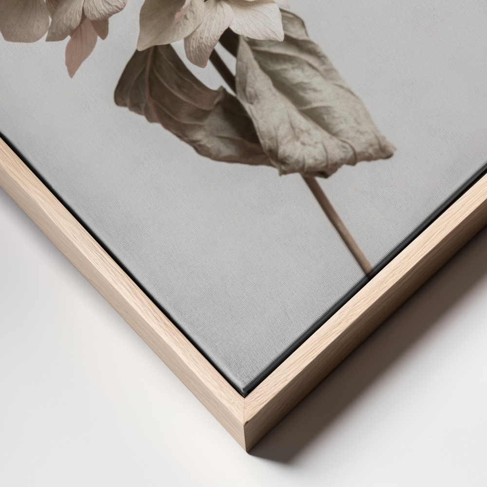 Toile - Beige dried flower cadre en gros plan - cadre naturel