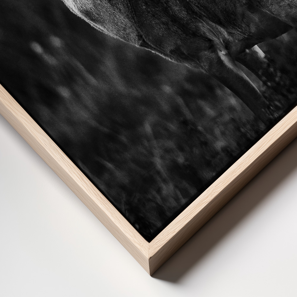Canvas print - Ready for the love season frame close up
