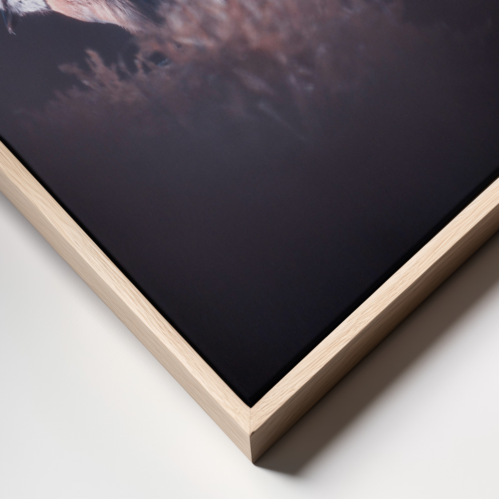 Canvas schilderi - A bird world VIII frame close up - natuurlijk frame