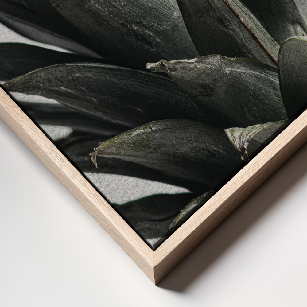 Toile - Pineapple close up cadre en gros plan - cadre naturel