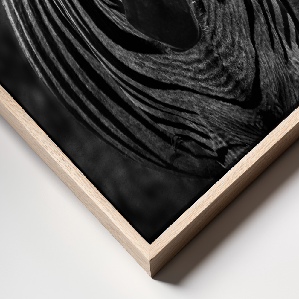 Canvas print - Stare frame close up