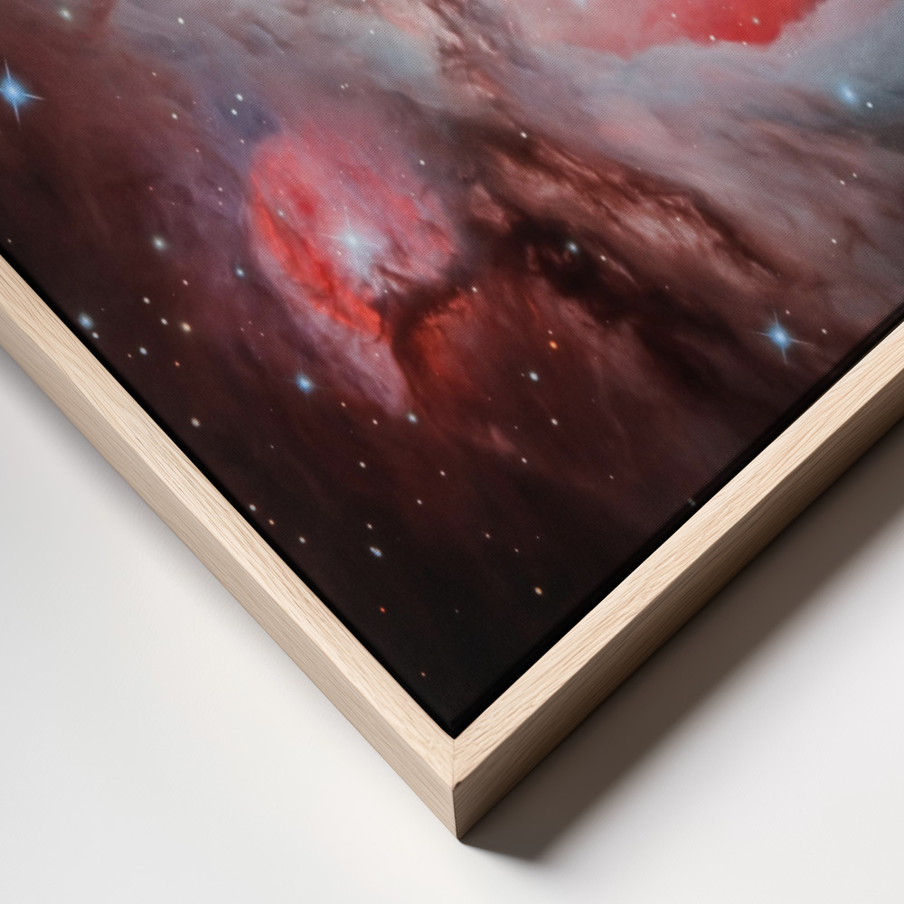 Canvas print - The Heart of The Great Orion Nebula (M42) frame close up
