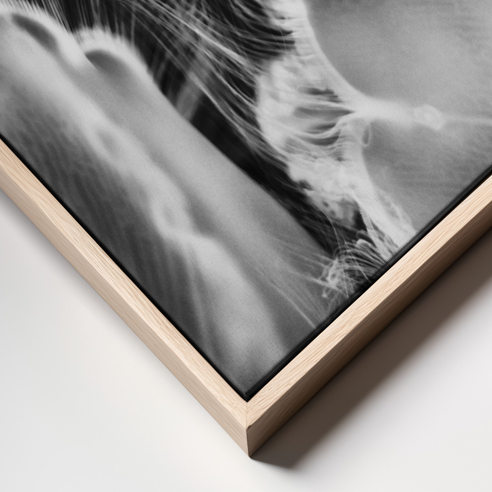 Canvas print - Whispers of Light frame close up