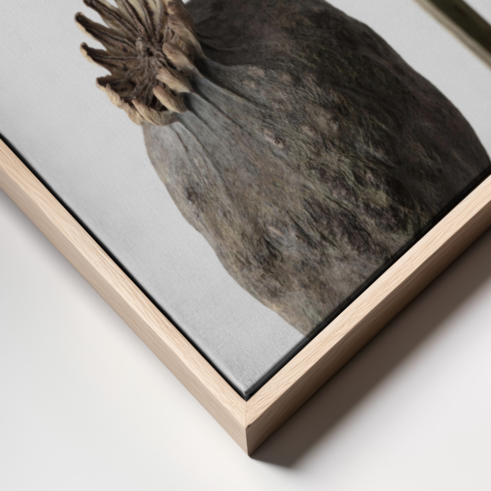 Canvas print - Dried Flower 5 frame close up