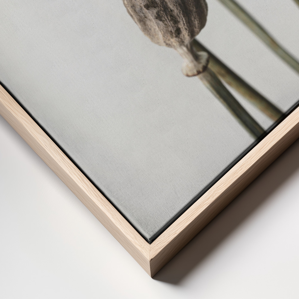 Canvas print - Dried Flower 6 frame close up