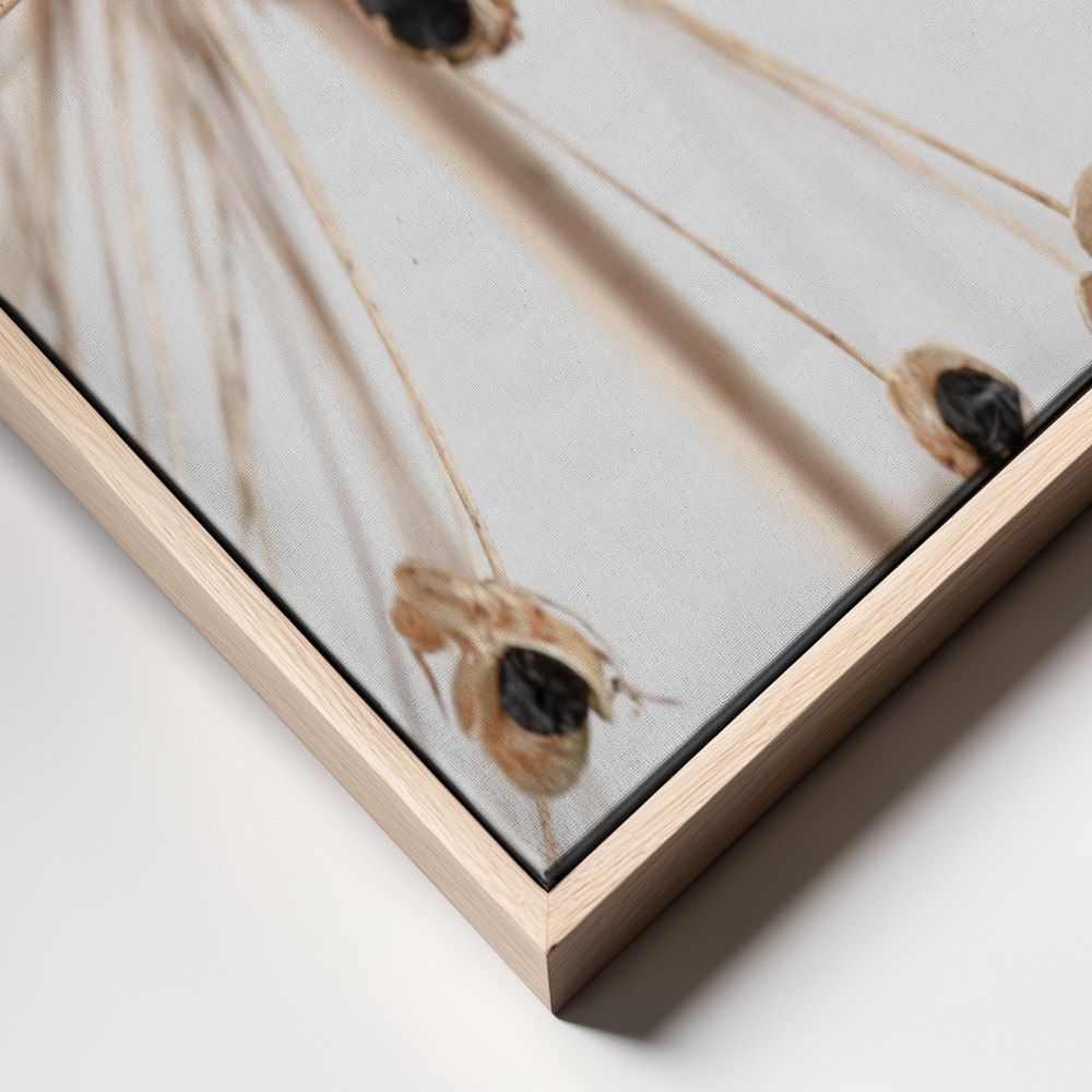 Canvas print - Dried Flower 7 frame close up