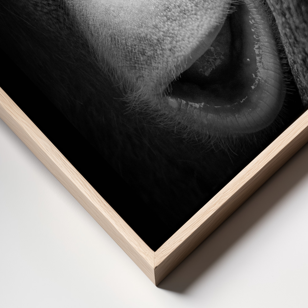 Stampe su tela - Innocent frame close up