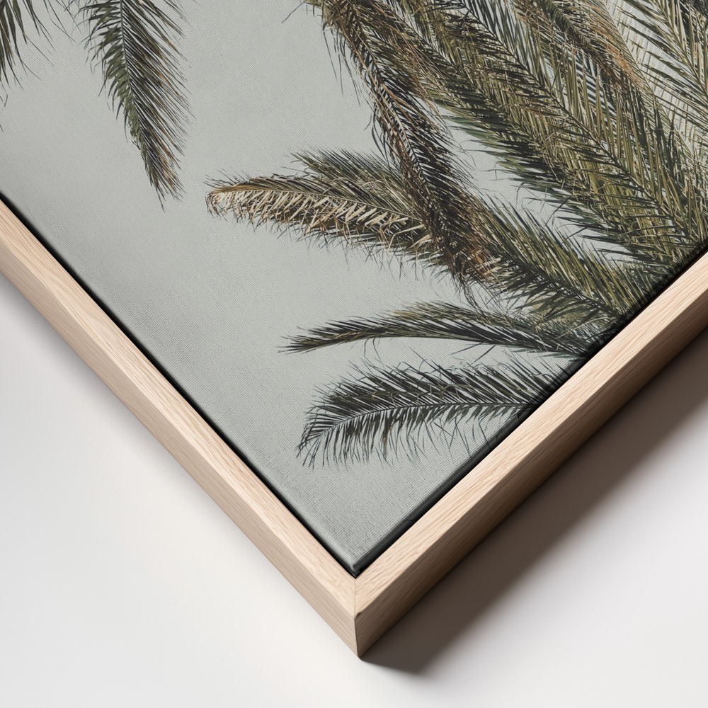 Canvas print - Palm 05 frame close up