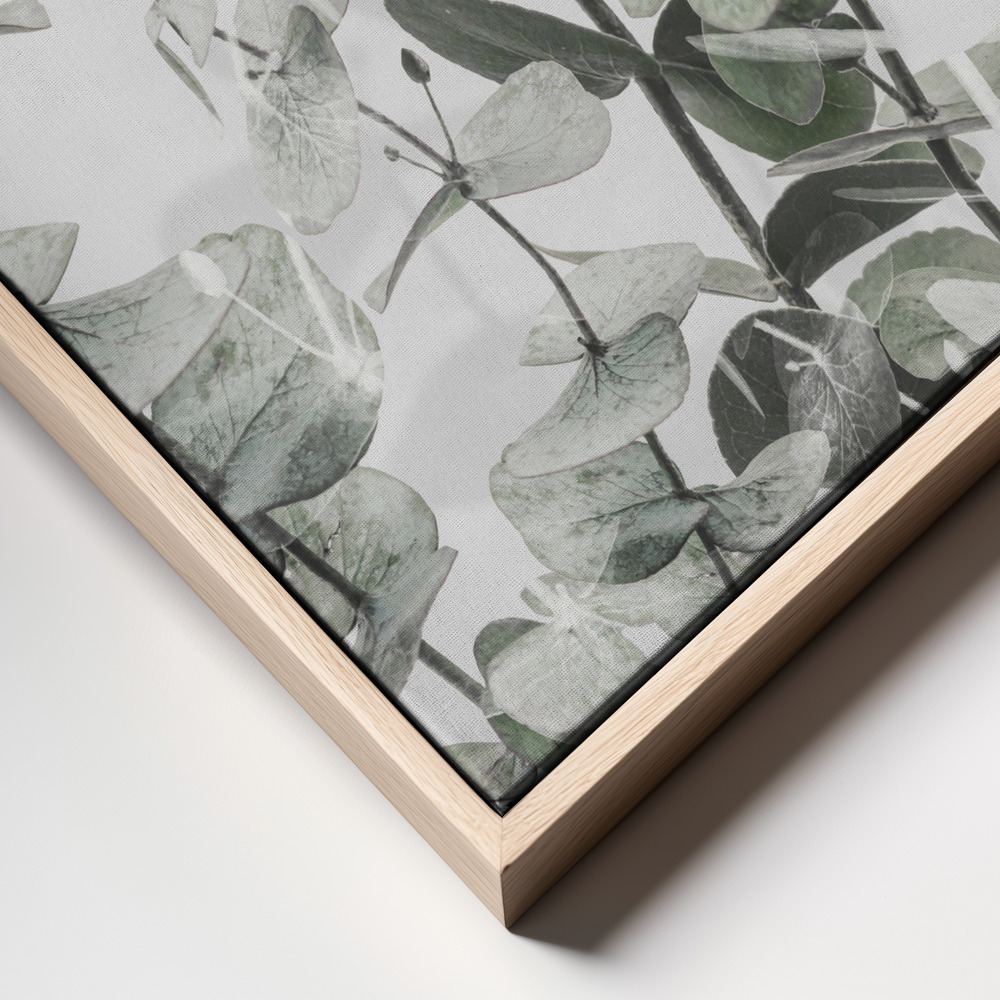 Canvas print - Eucalyptus 1 frame close up