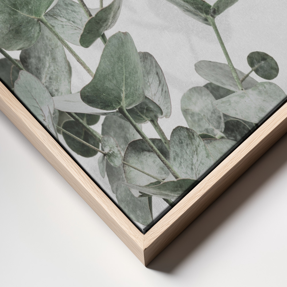 Canvas print - Eucalyptus 3 frame close up