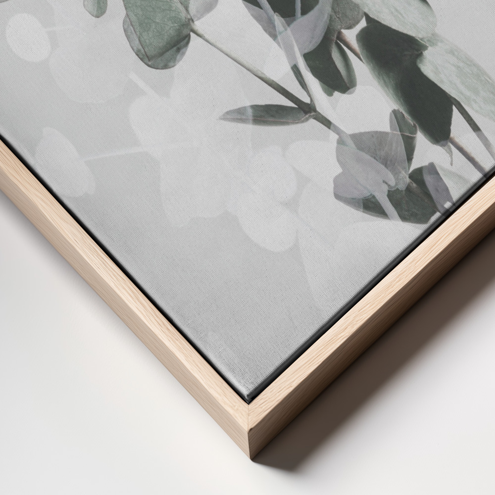 Canvas print - Eucalyptus 2 frame close up