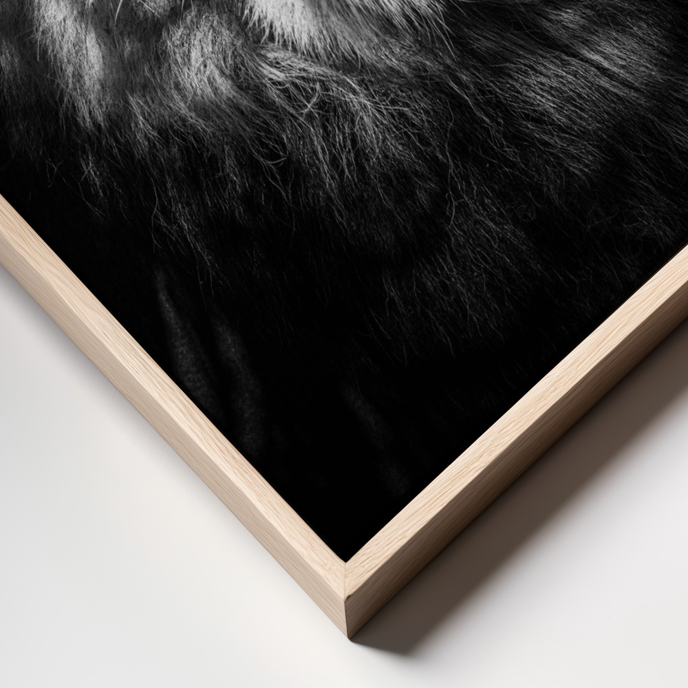 Canvas print - Being watched frame close up